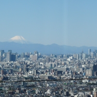 Mt.Fuji and TokyoSkyTree