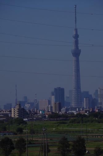 Tokyo Tower and TokyoSkyTree